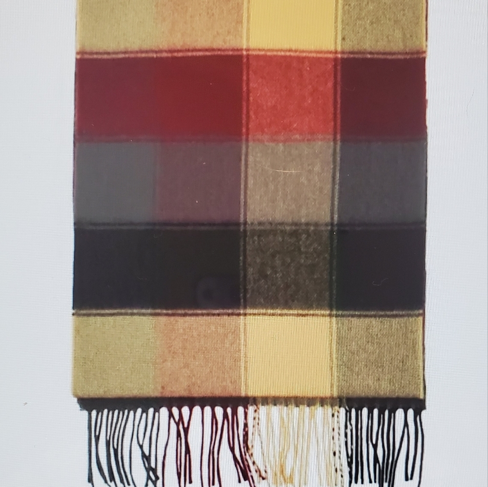DIVAS LIMITED Multicolor Plaid Scarf